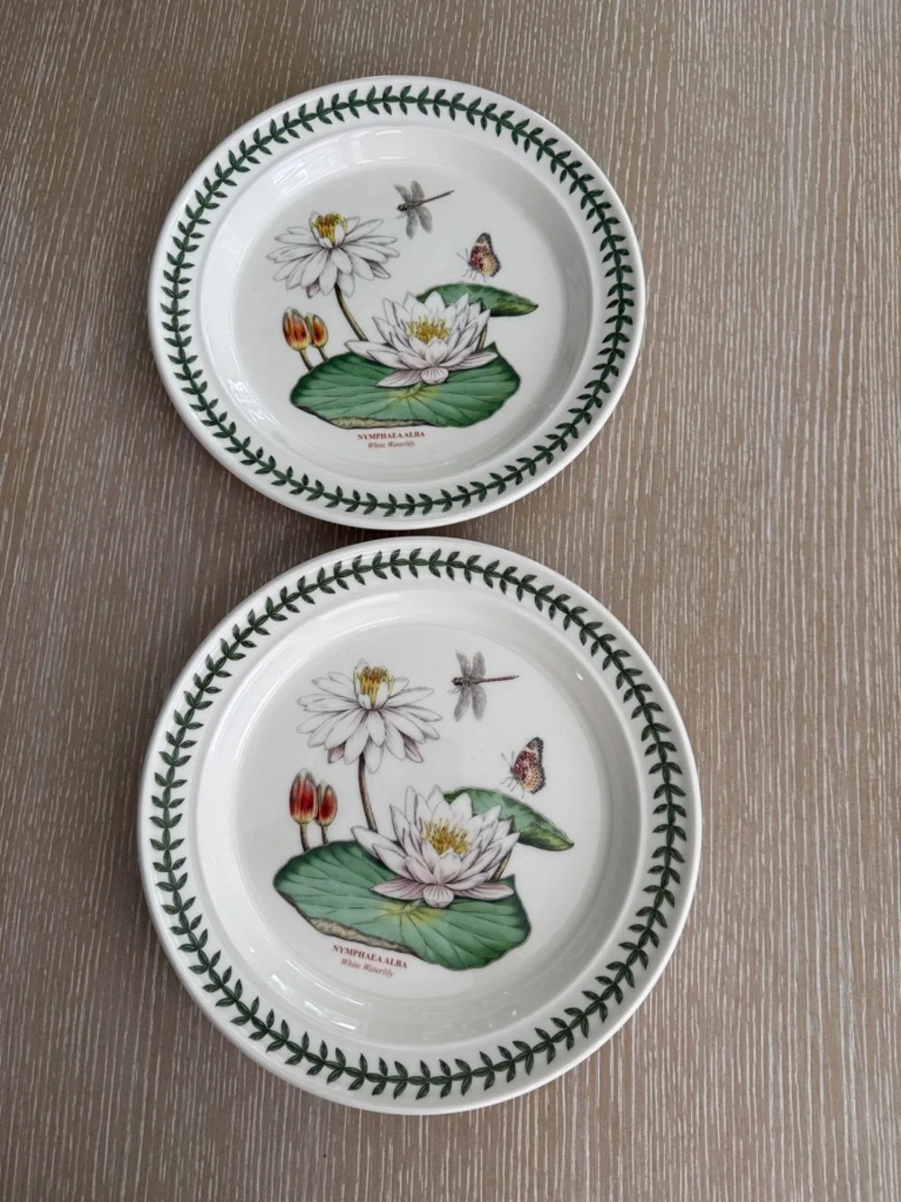 Botanic Garden Exotic Botanic Garden 10.5” Plate with White Water Lily Motif 2pc - Picture 3 of 12